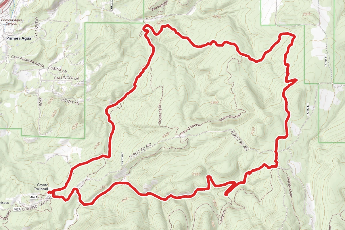 Chamisoso and Coyote Trails