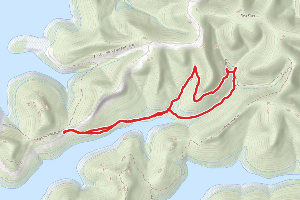 Millennium Trail Loop