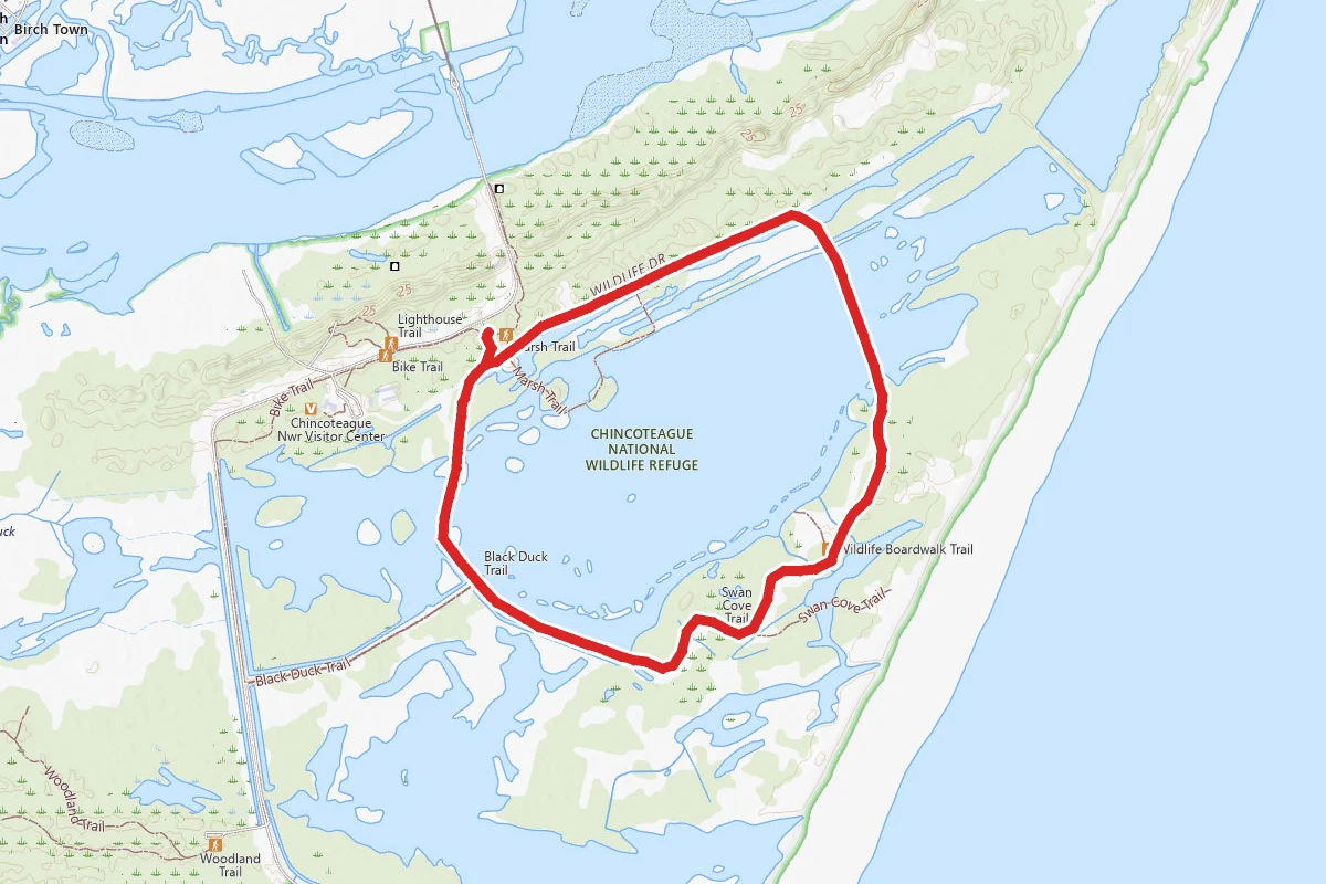 Wildlife Pond Loop