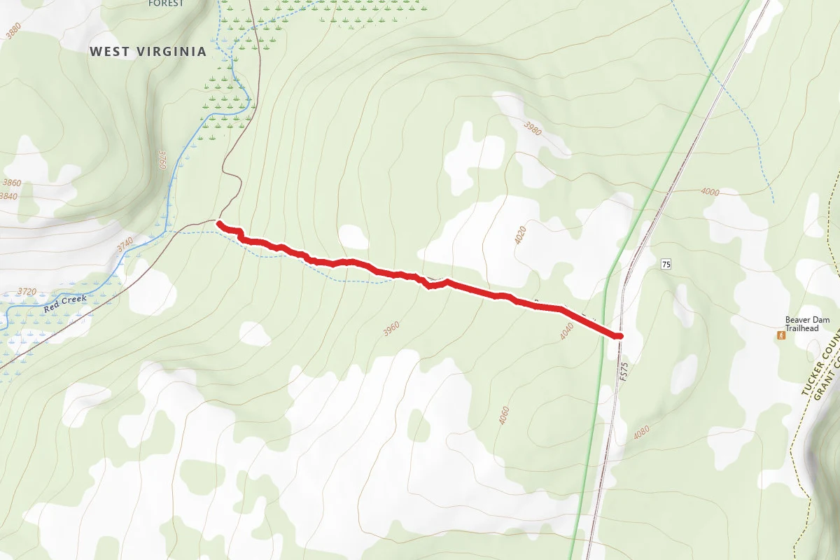 Beaver Dam Trail