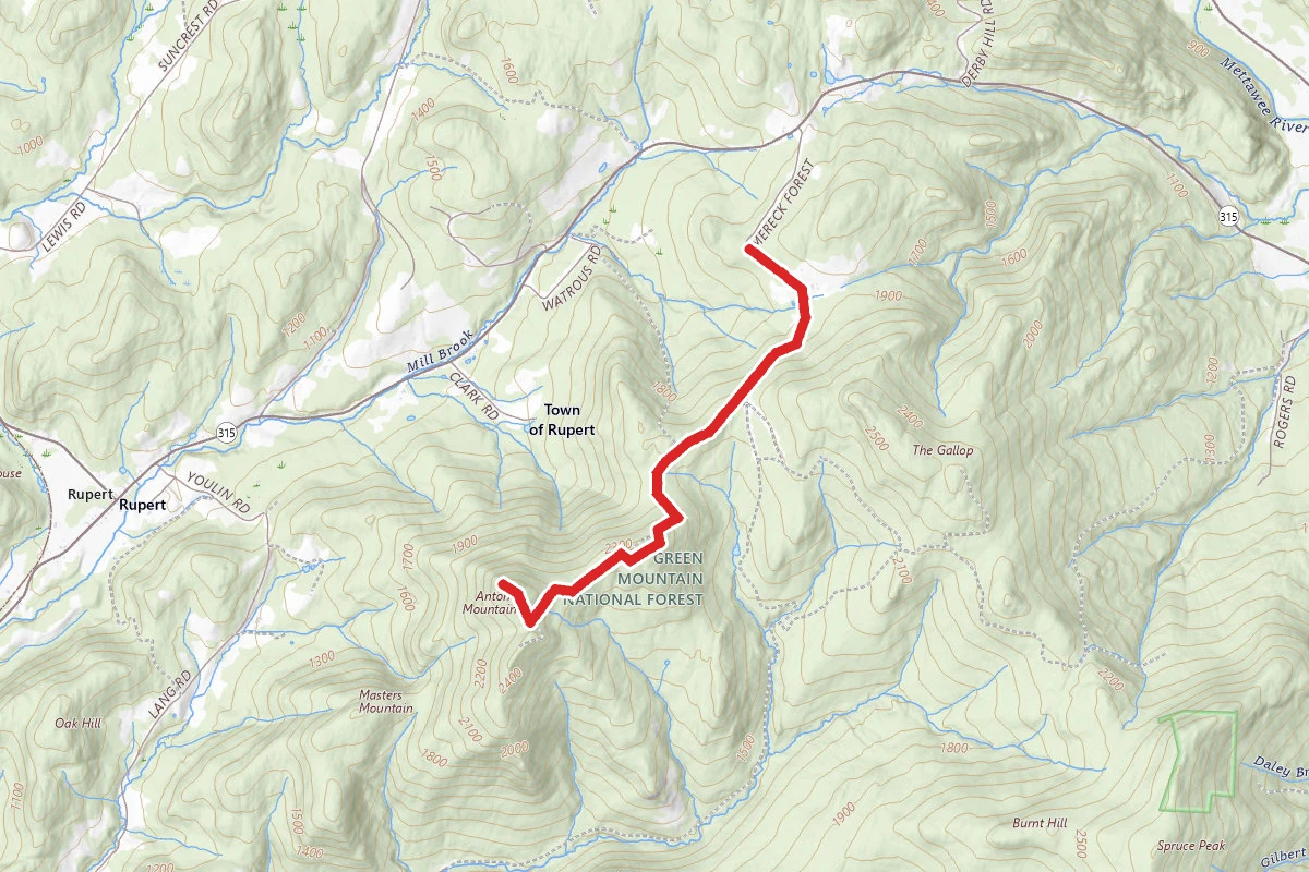 Merck Forest Trail