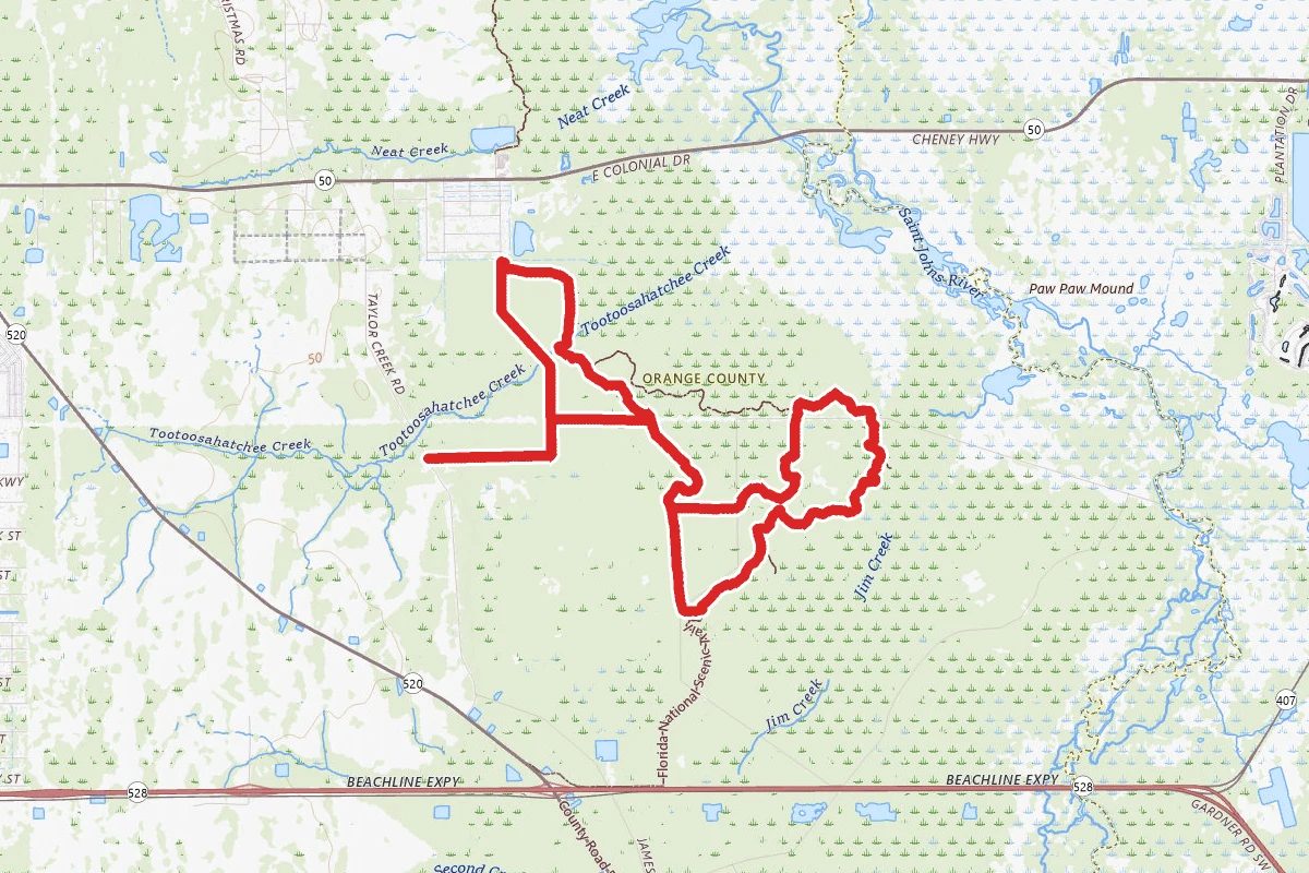 Tosohatchee Wildlife Management Area Loop Trail