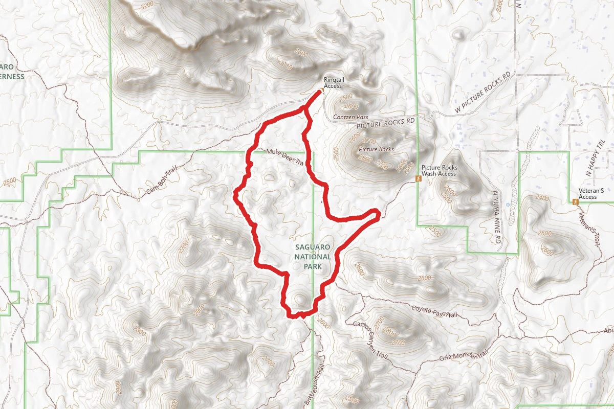 Ironwood Forest Trail