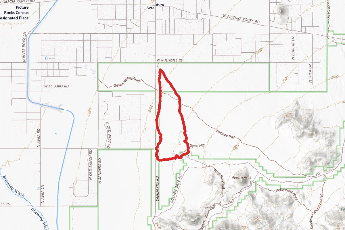 Cactus Wren Trail