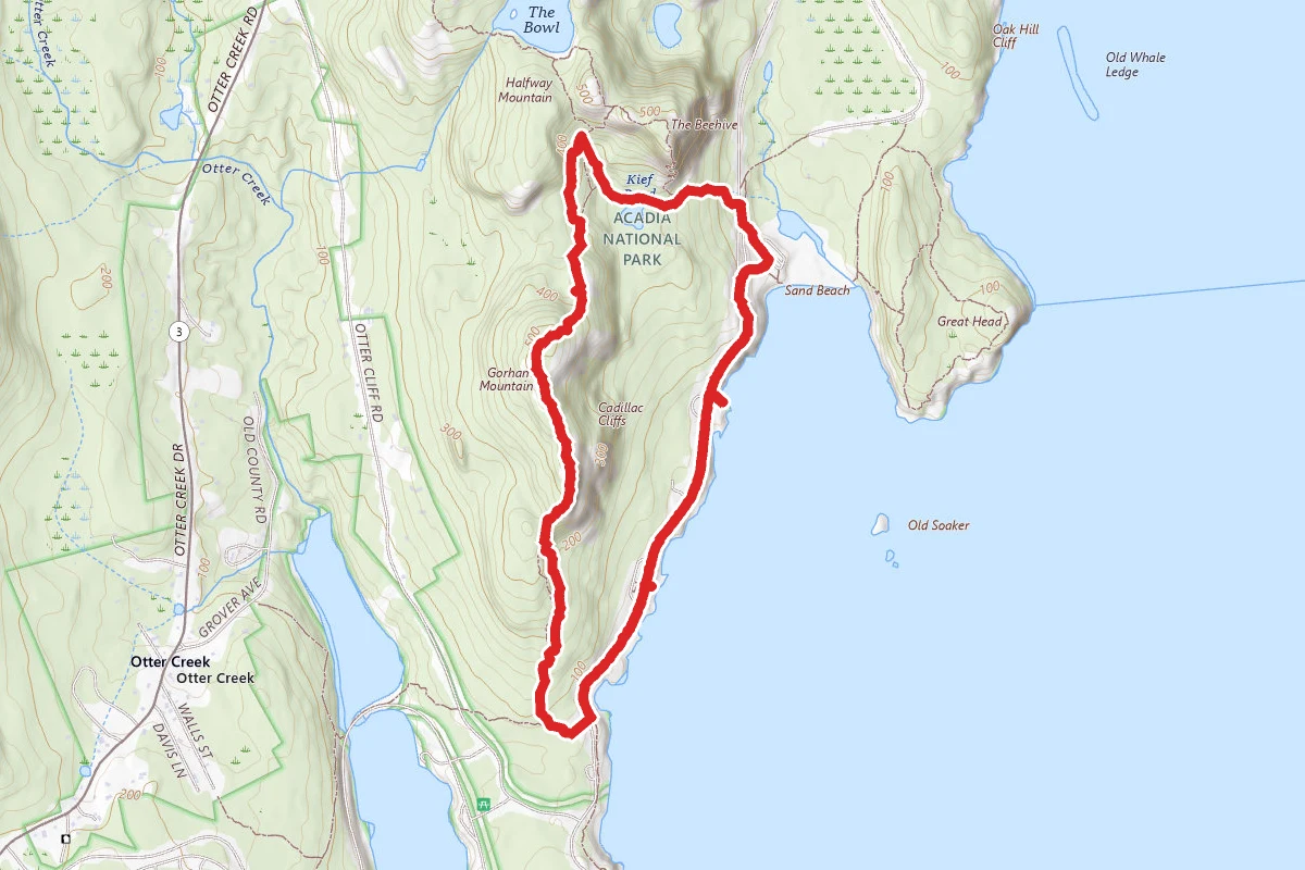 Ocean Path and Gorham Mountain Loop Trail