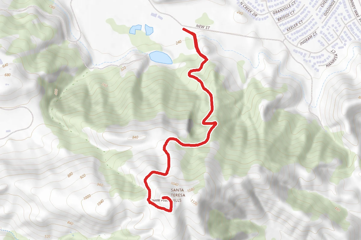 Coyote Peak via Coyote Peak Trail