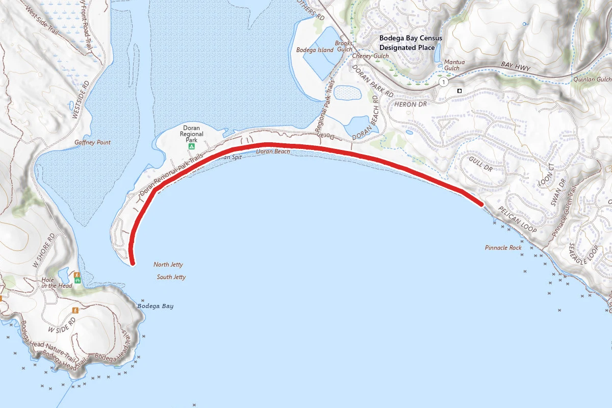 Doran Beach Trail