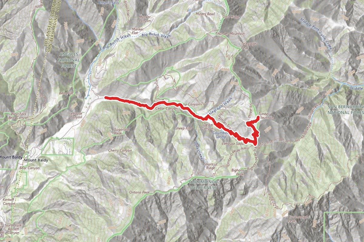 Timber Mountain