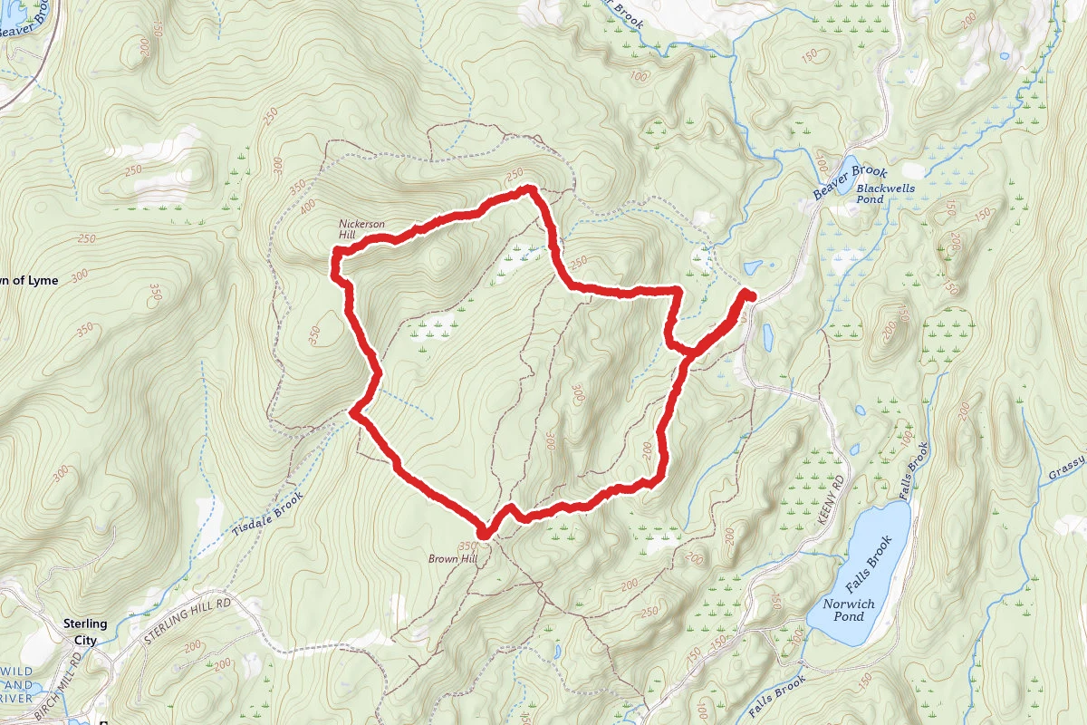 Nehantic Forest Loop