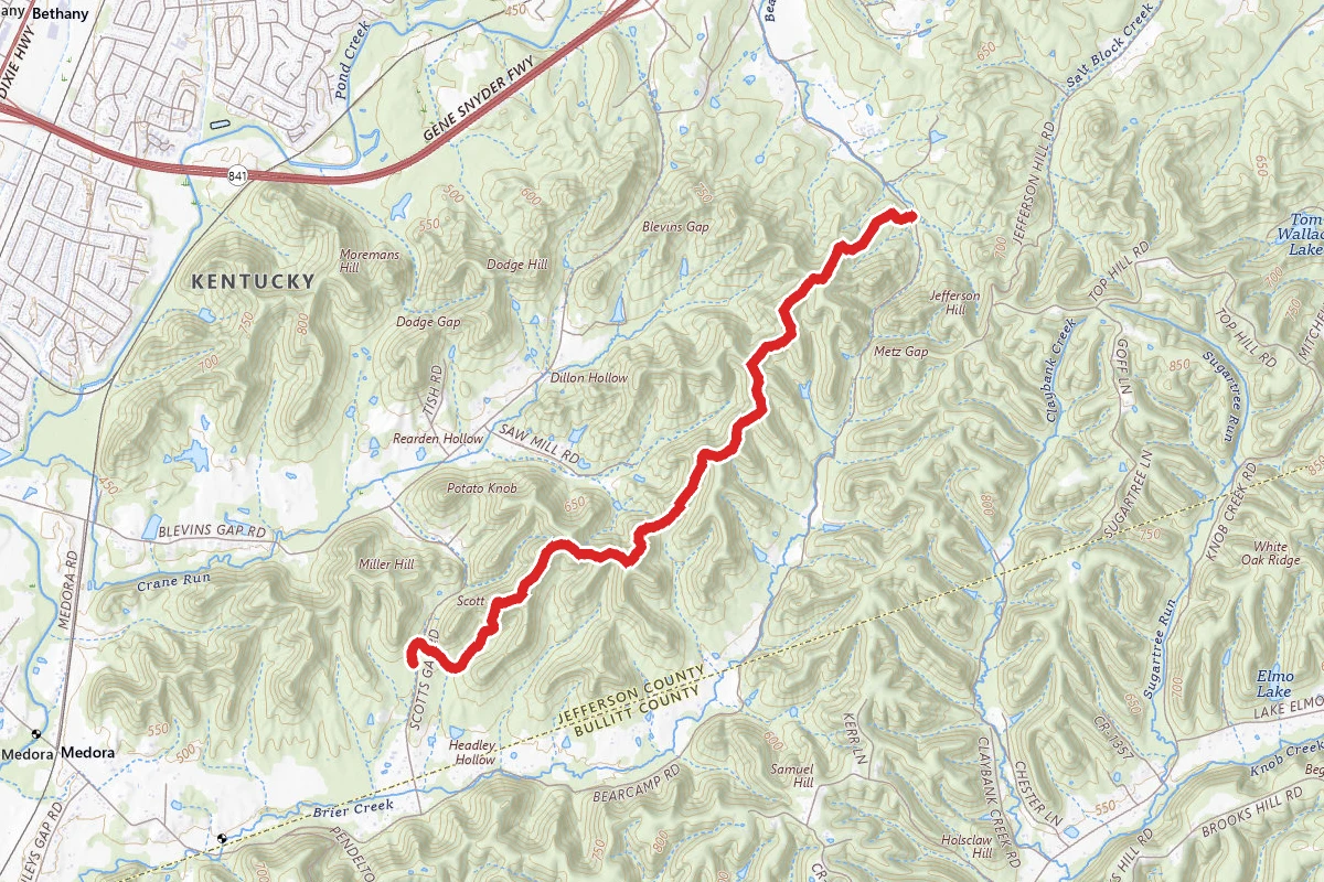 Scotts Gap to Bearcamp via Siltstone Trail