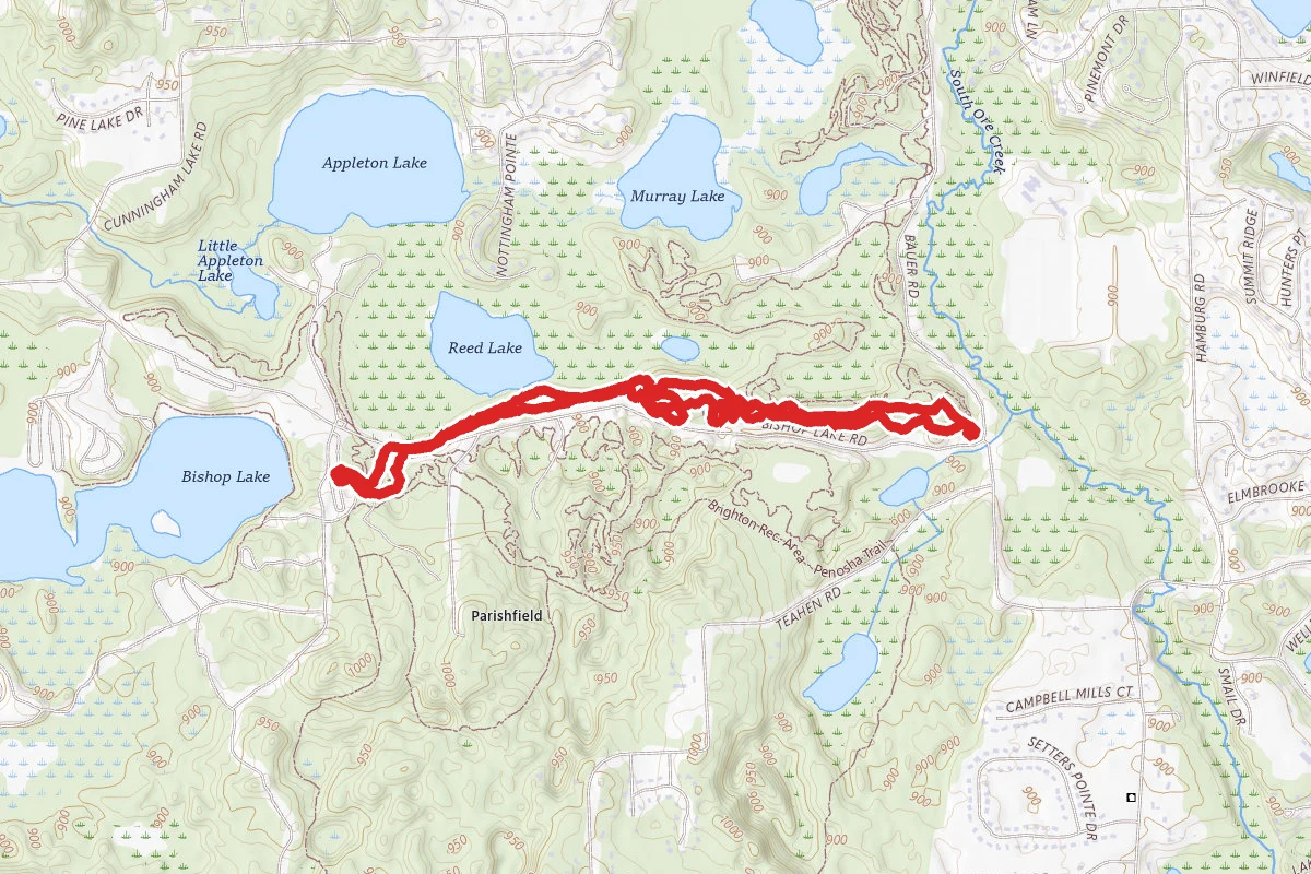 Murray Lake Trail