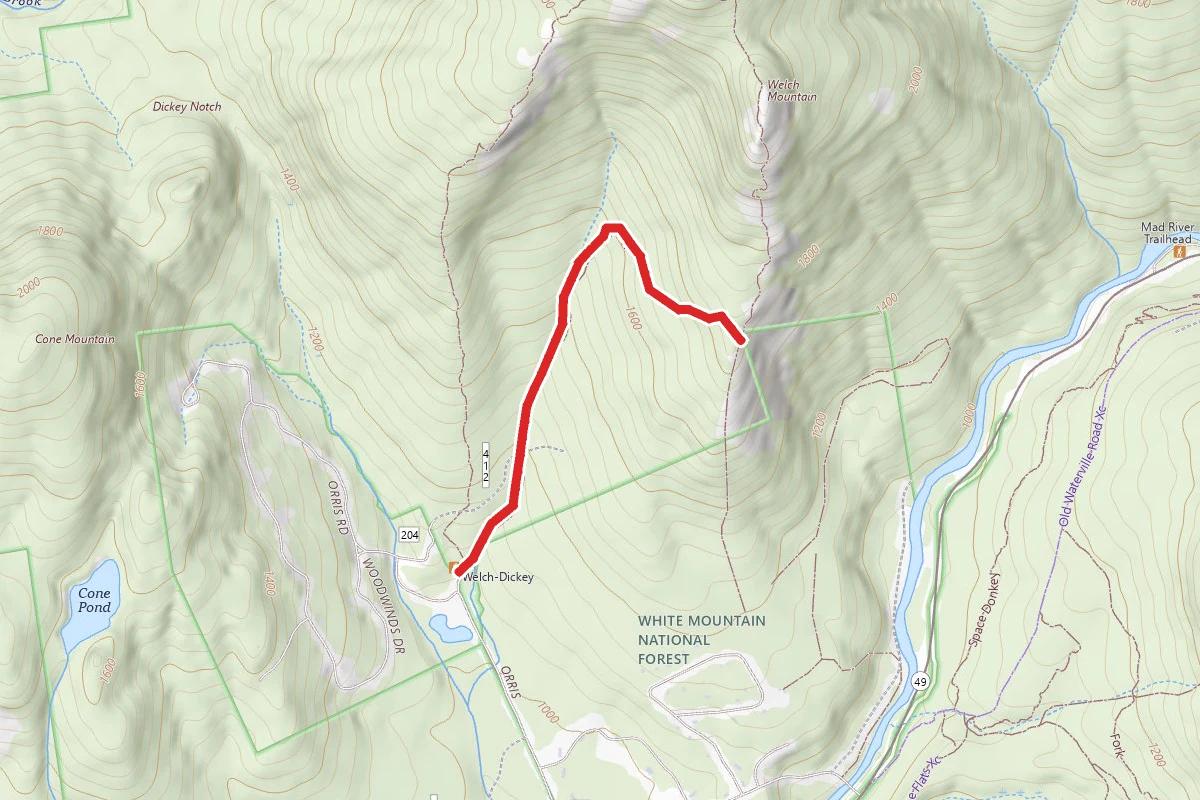Welch Mountain Rock Ledge