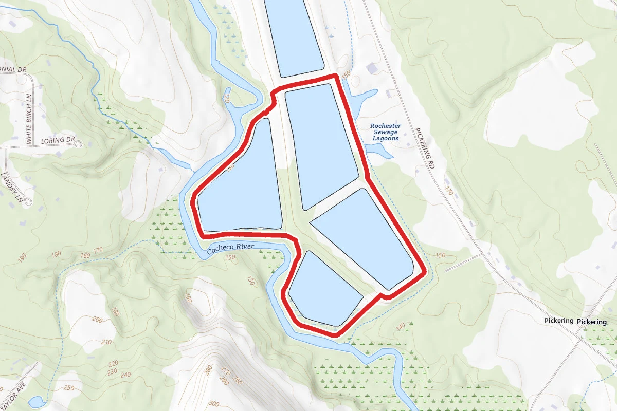 Pickering Ponds Loop