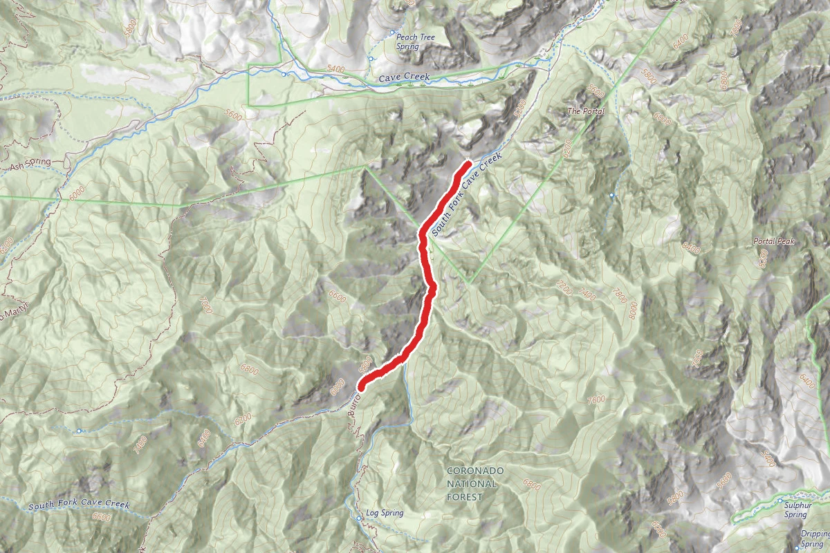 South Fork Trail #243