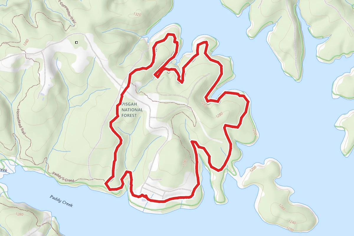 Lake James Mill's Creek Trail