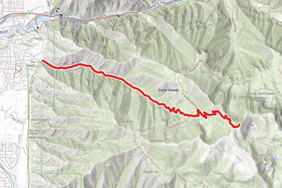 Logan Peak Via Dry Canyon