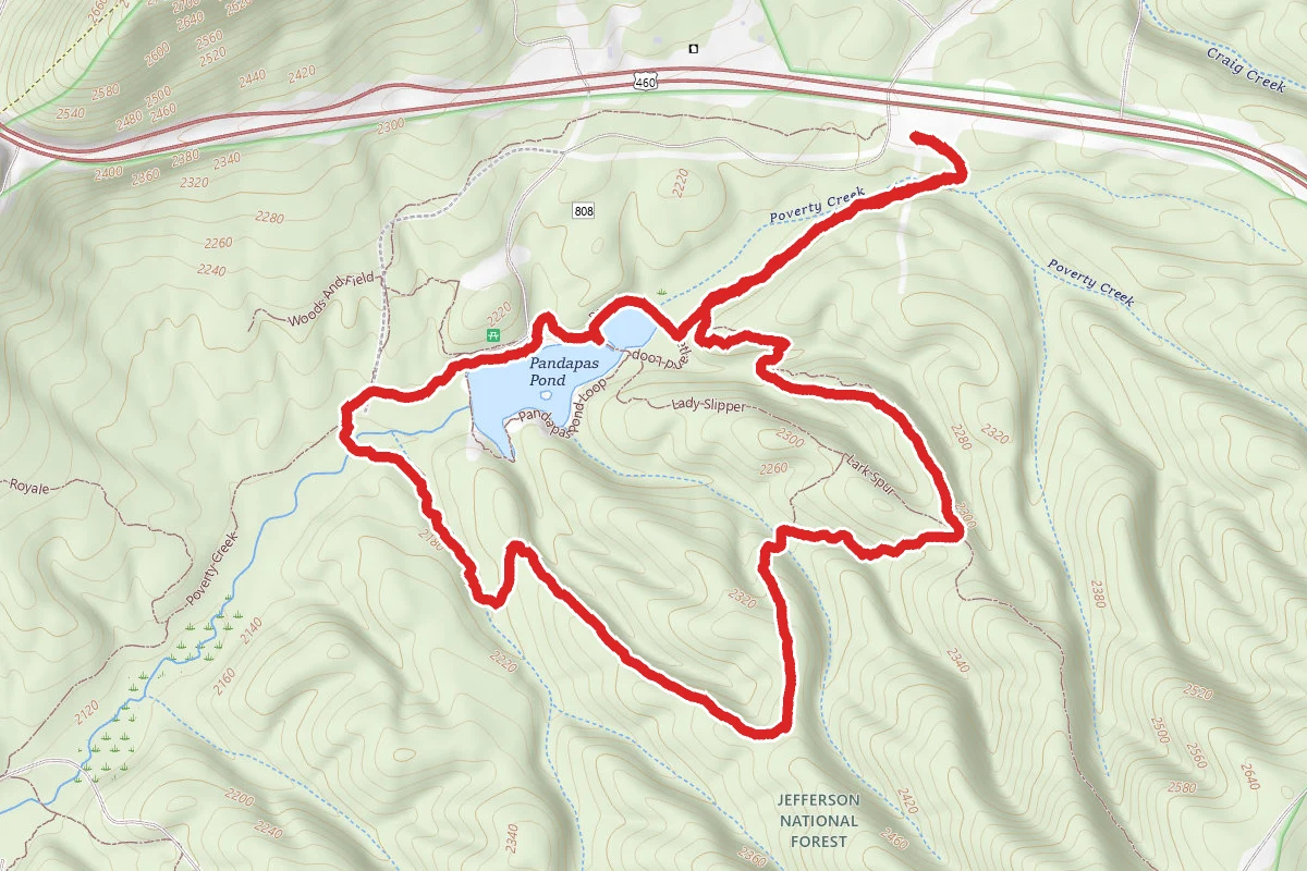 Horse Nettle, Joe Pye, Pandapas Pond, and Wetland's Boardwalk Loop