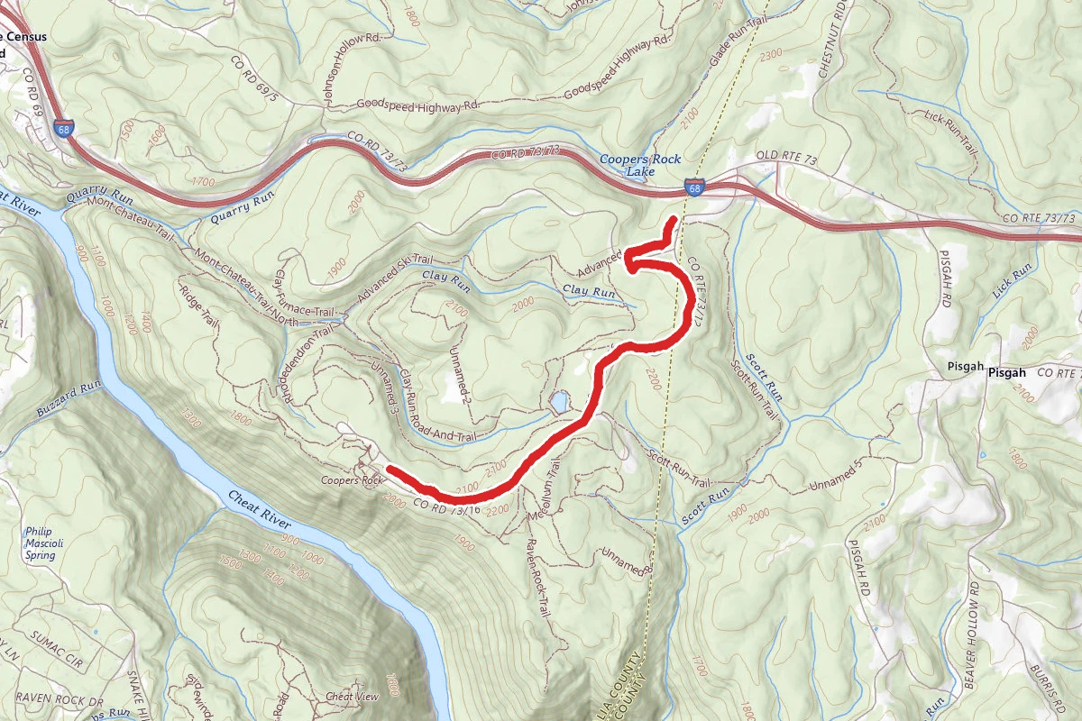 Coopers Rock Roadside Trail