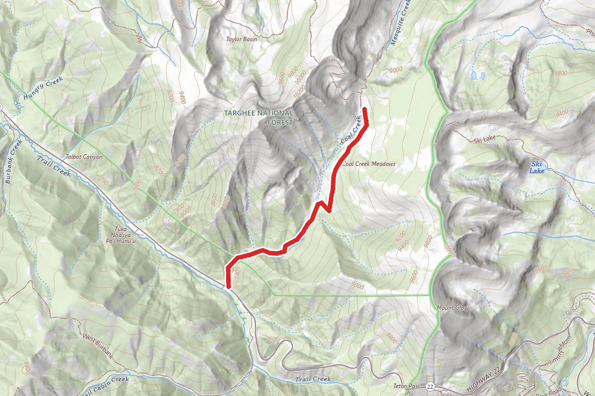 Coal Creek Meadows