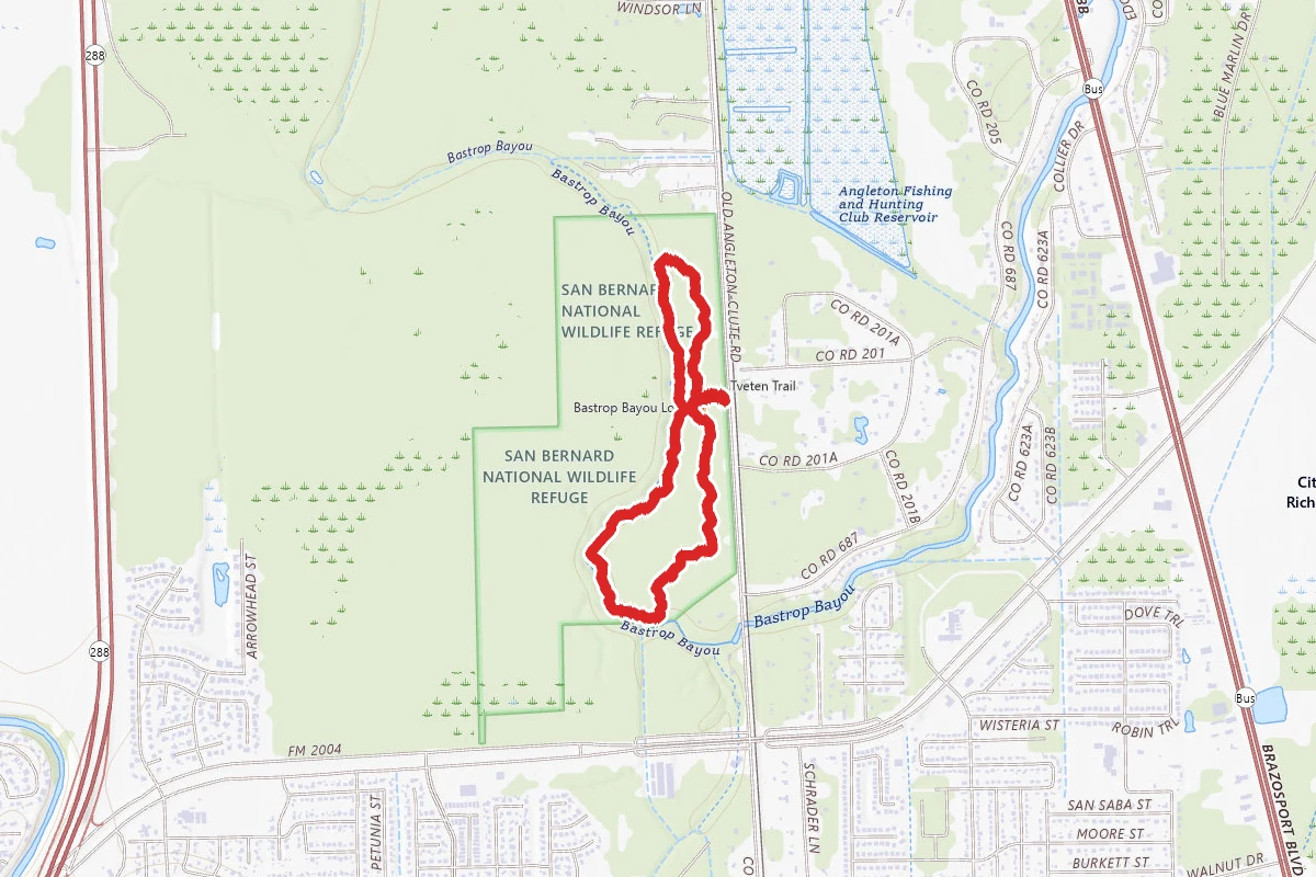 Dow Woods Trails
