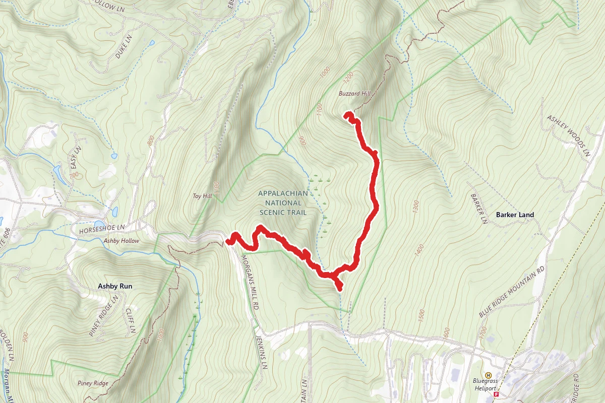 Buzzard Hill via Appalachian Trail