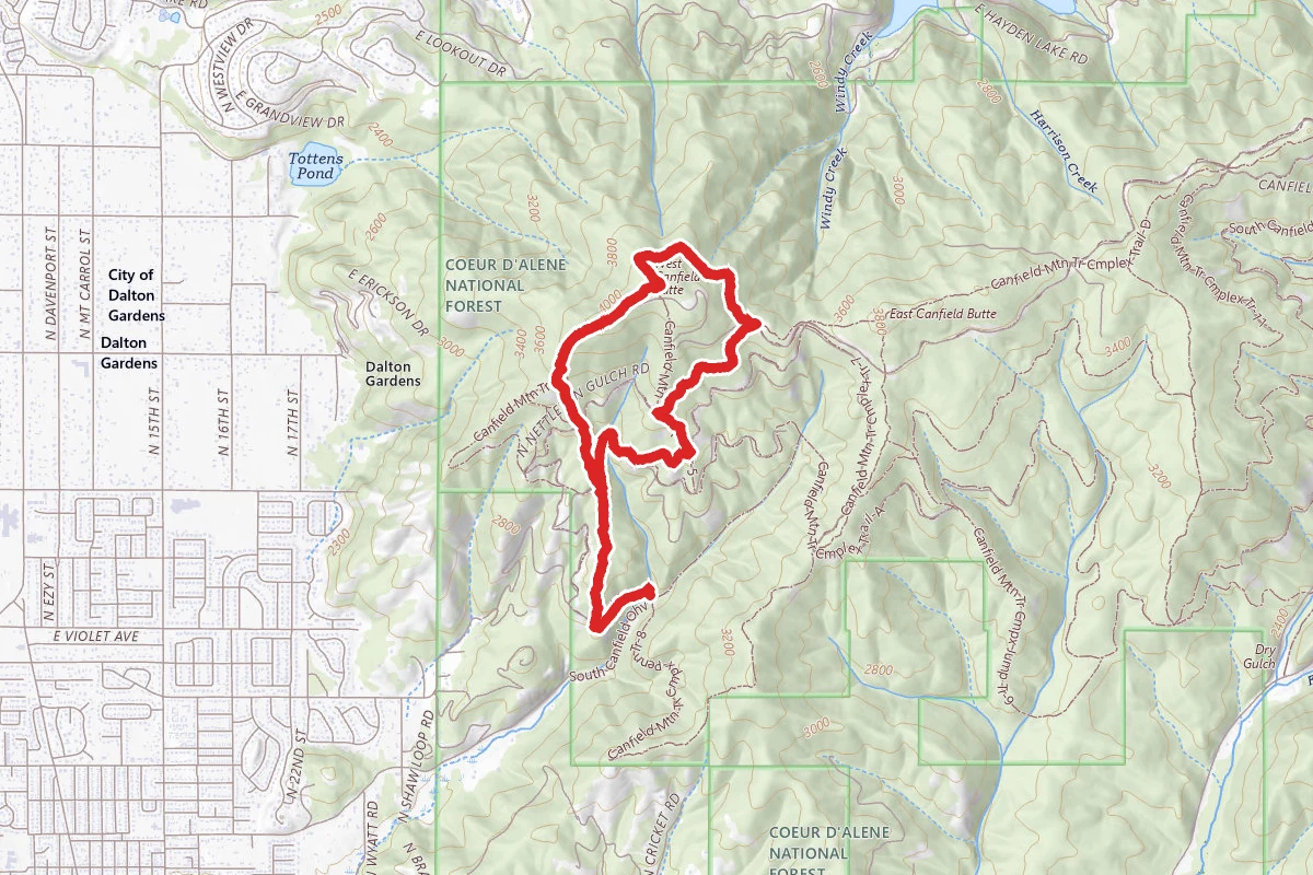 West Canfield Butte via Trails 3, D, and 6 from North Nettleton Gulch Road
