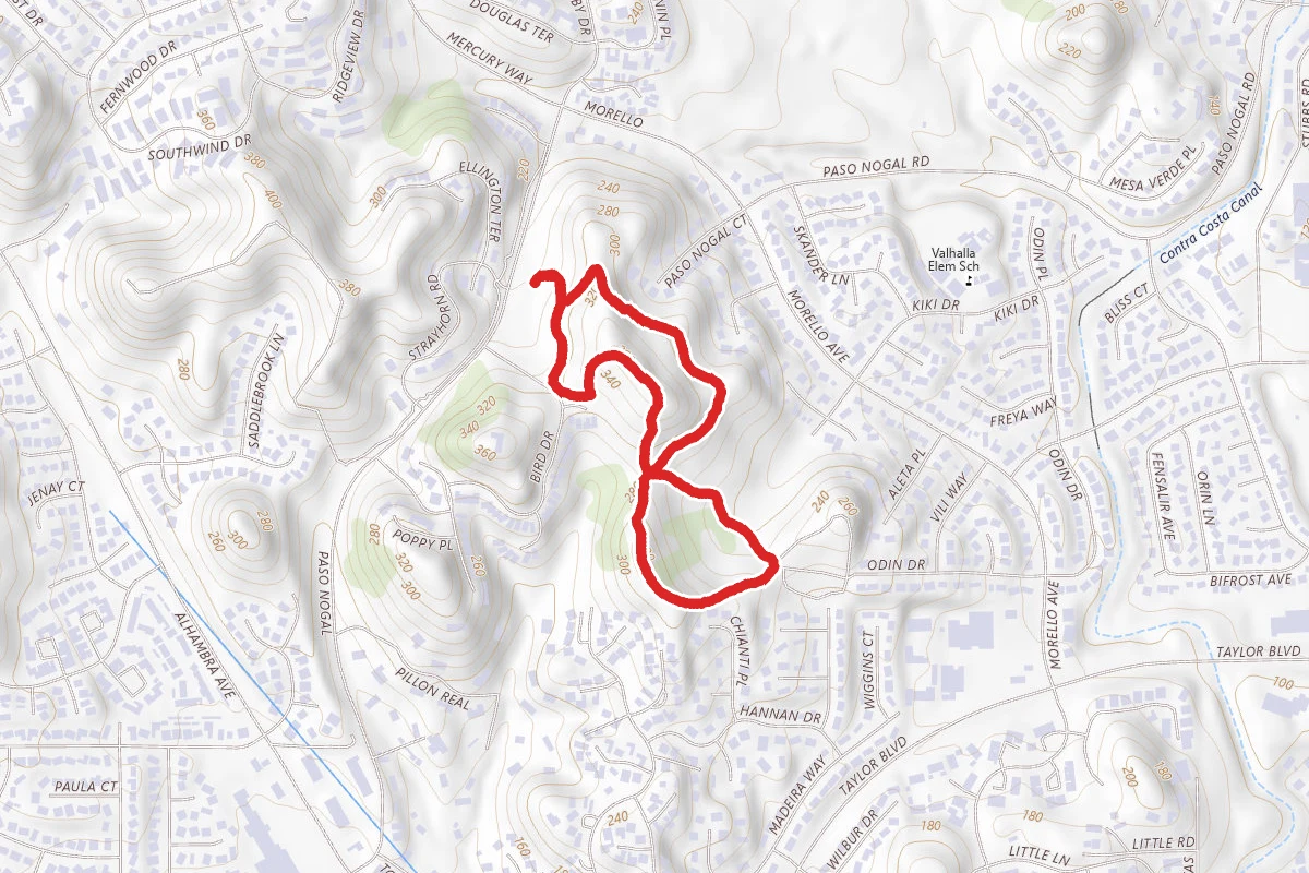 Figure Eight Loop