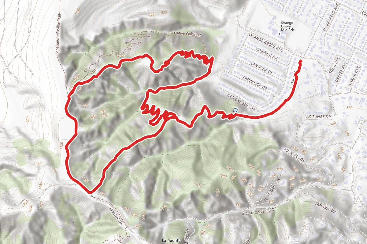 Puma Trail to Native Oak Trail via Ahwingha Trail