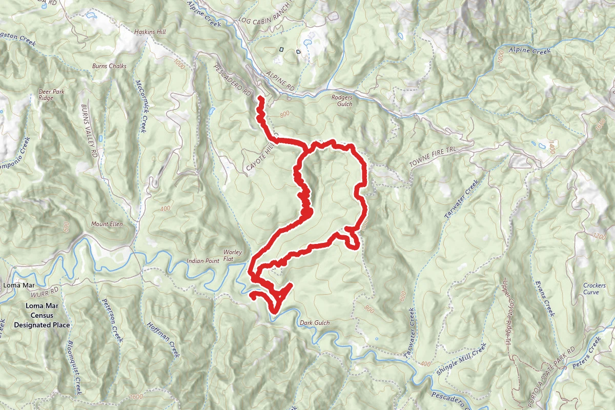Towne Fire Road to Brook Trail Loop