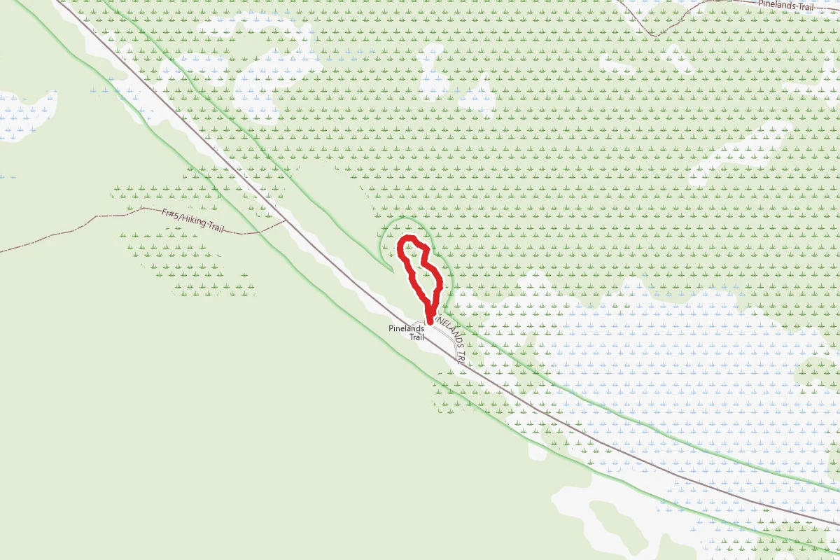 Pinelands Trail