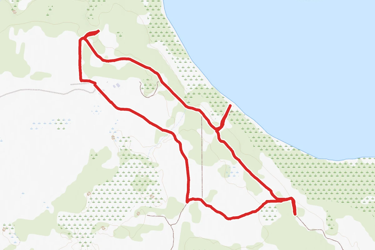 Disney Wilderness Preserve Loop and Interpretive Trails