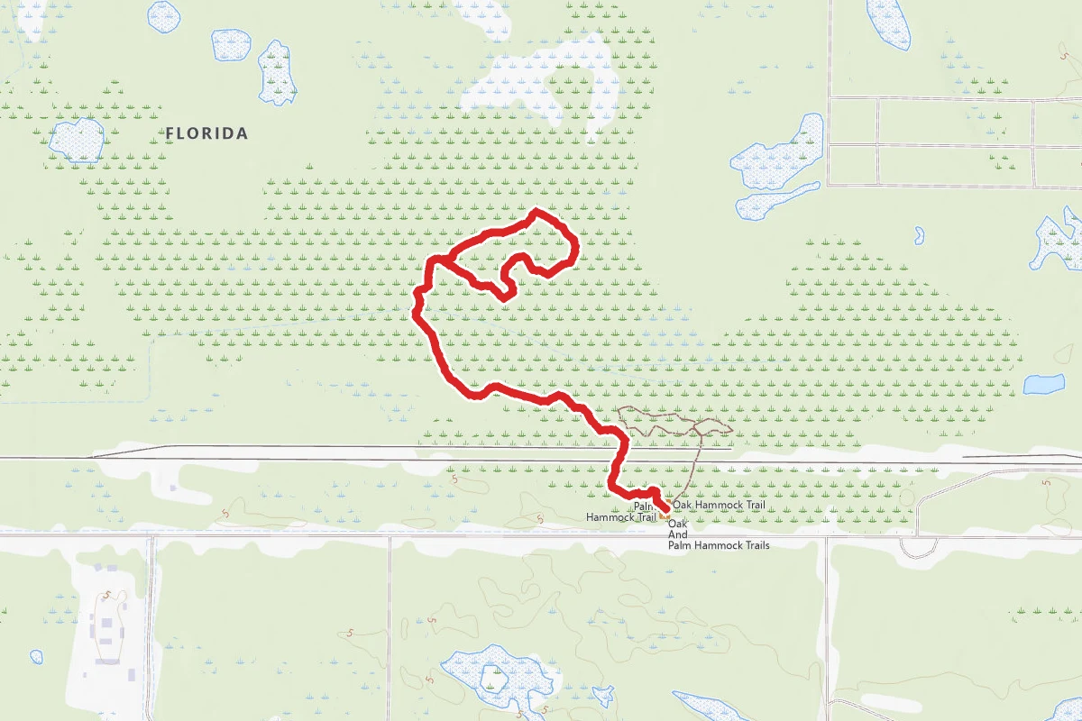 Royal Palm Hammock Trail