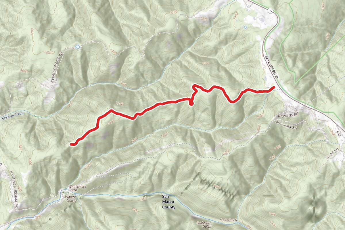 Purisima Creek Redwoods North Ridge Trail