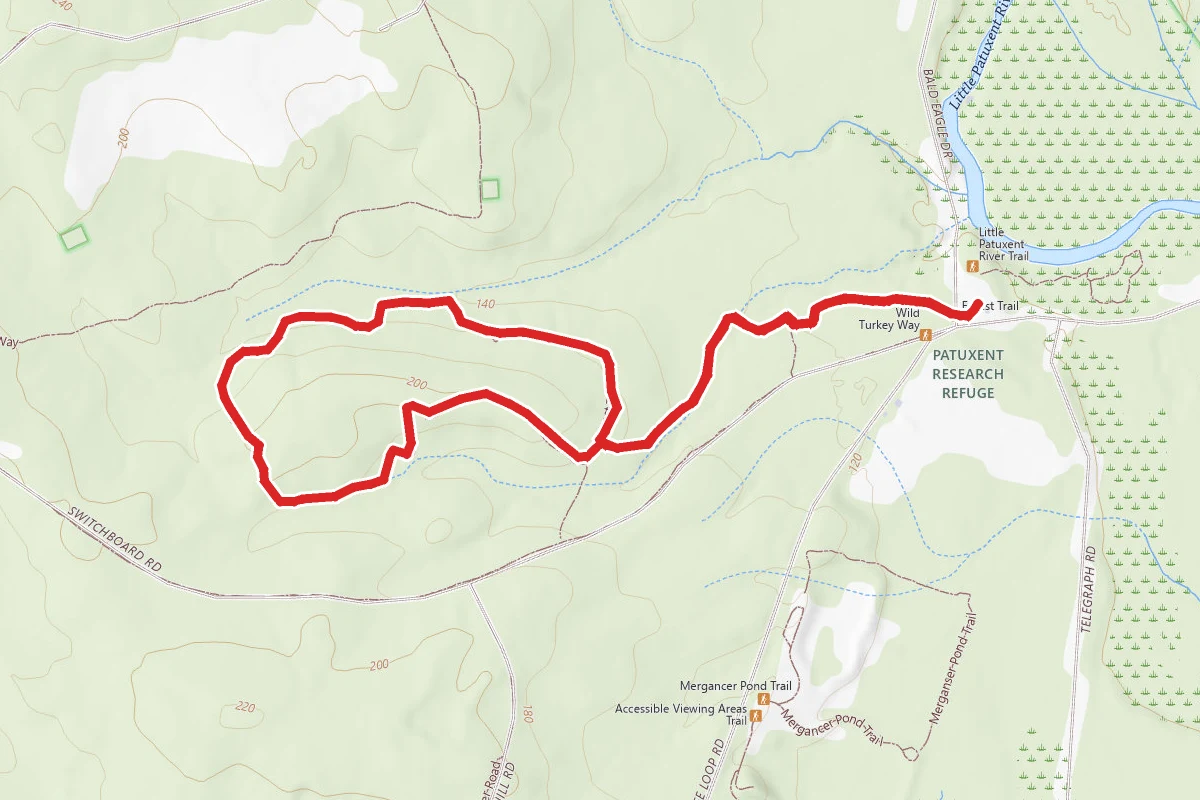 Patuxent Research Refuge Forest Trail