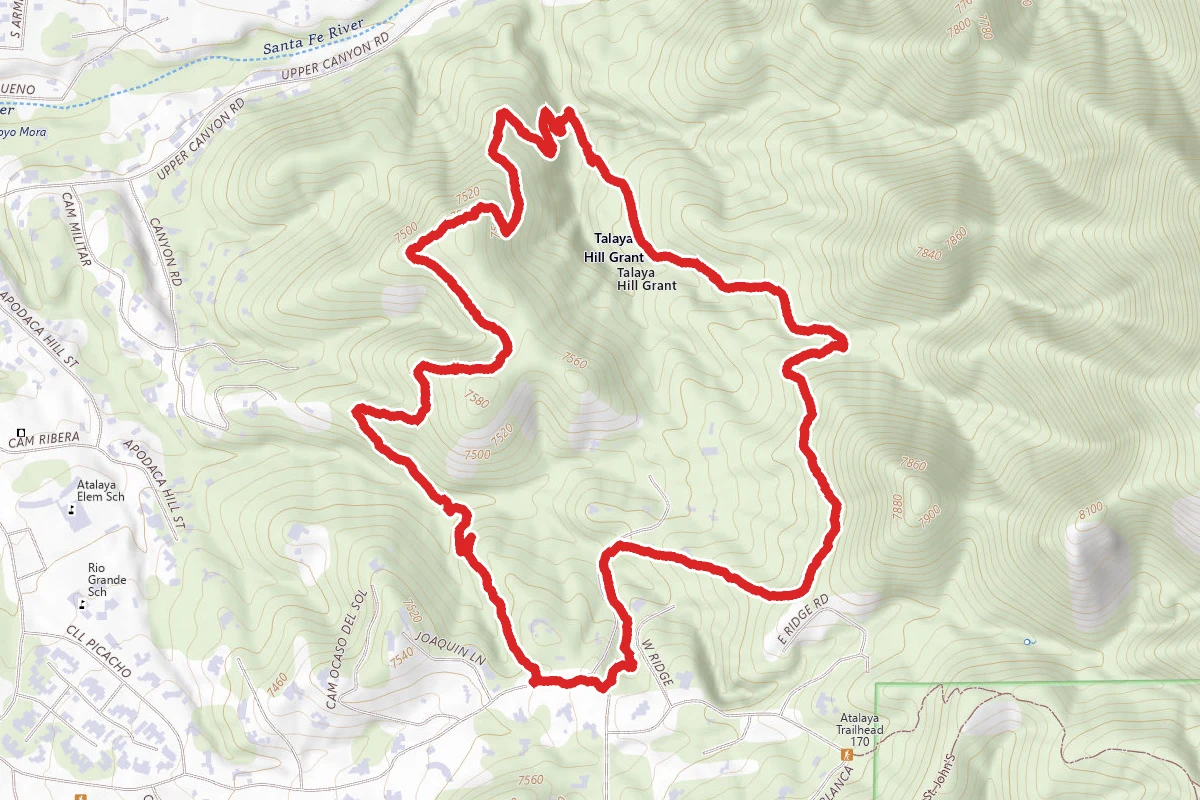 Dorothy Stewart Big Loop