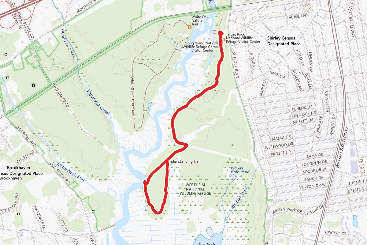 Black Tupelo Trail
