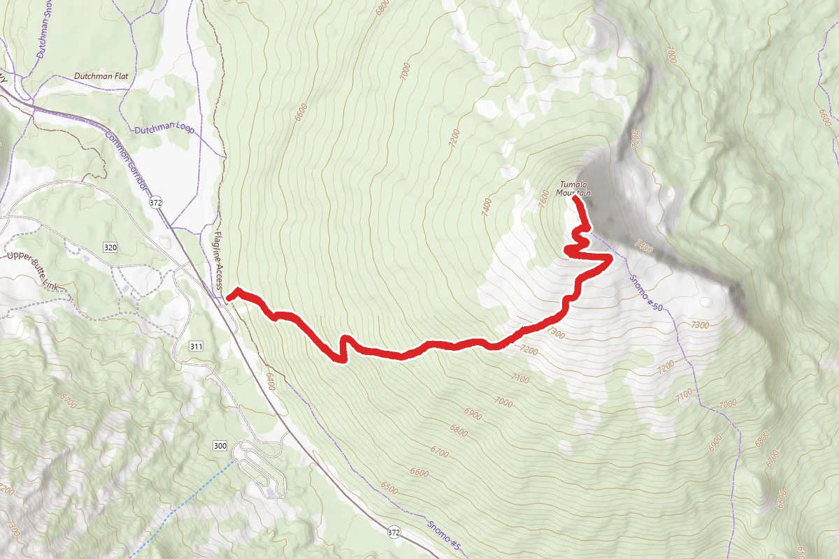 Tumalo Mountain Trail