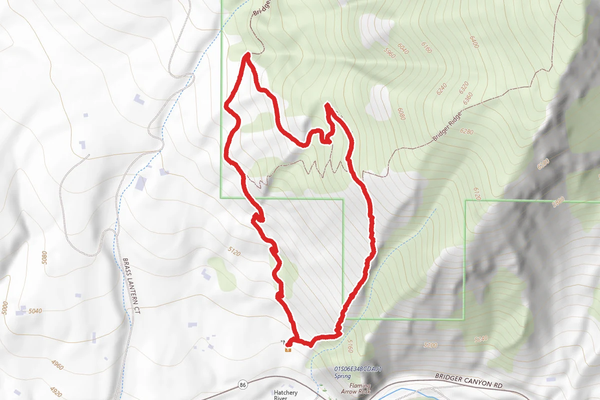 M Trail