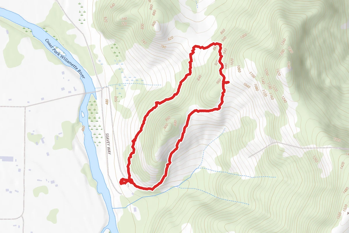 Trail #1 Loop