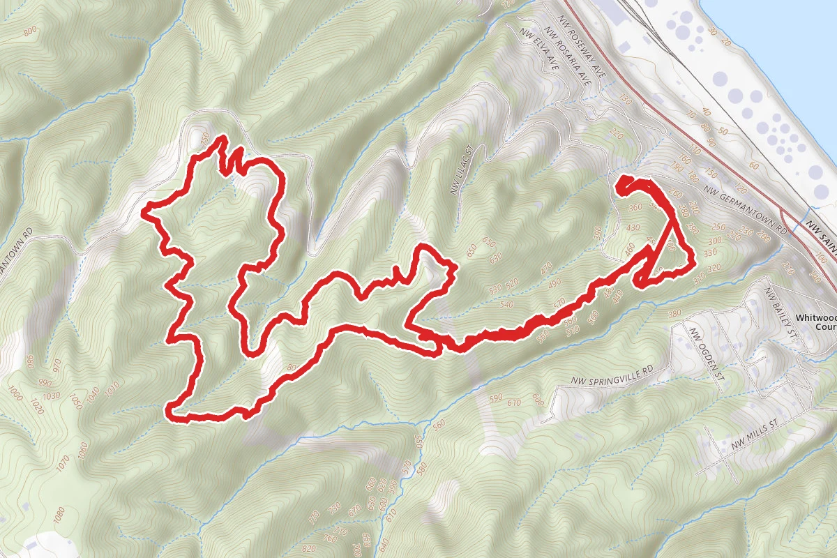Wildwood and NW Leif Erikson Loop via Water Line Trail