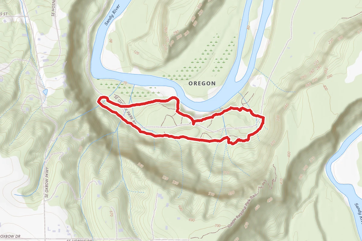 Ancient Forest Loop