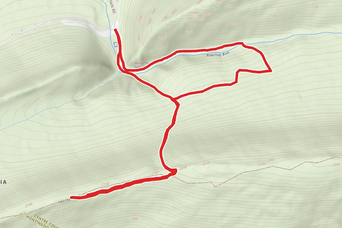 Downer, Red-White, and Lower Trail