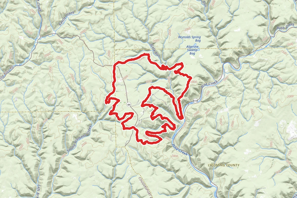Black Forest Long Loop