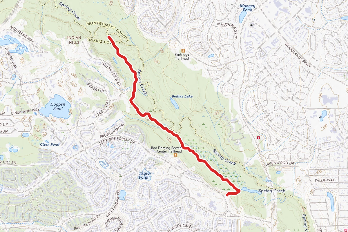 George Mitchell Preserve Main Trail from Creekside Forest Drive