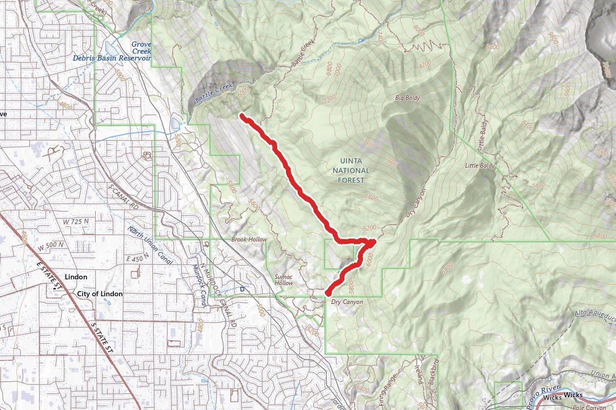 Curley Springs via Dry Canyon Trail