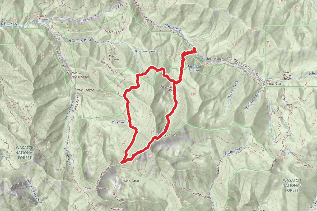 Alexander Basin Loop via Gobblers Knob, Bowman Fork, White Fur Pass