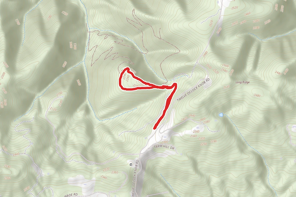 Piratebush Loop Trail