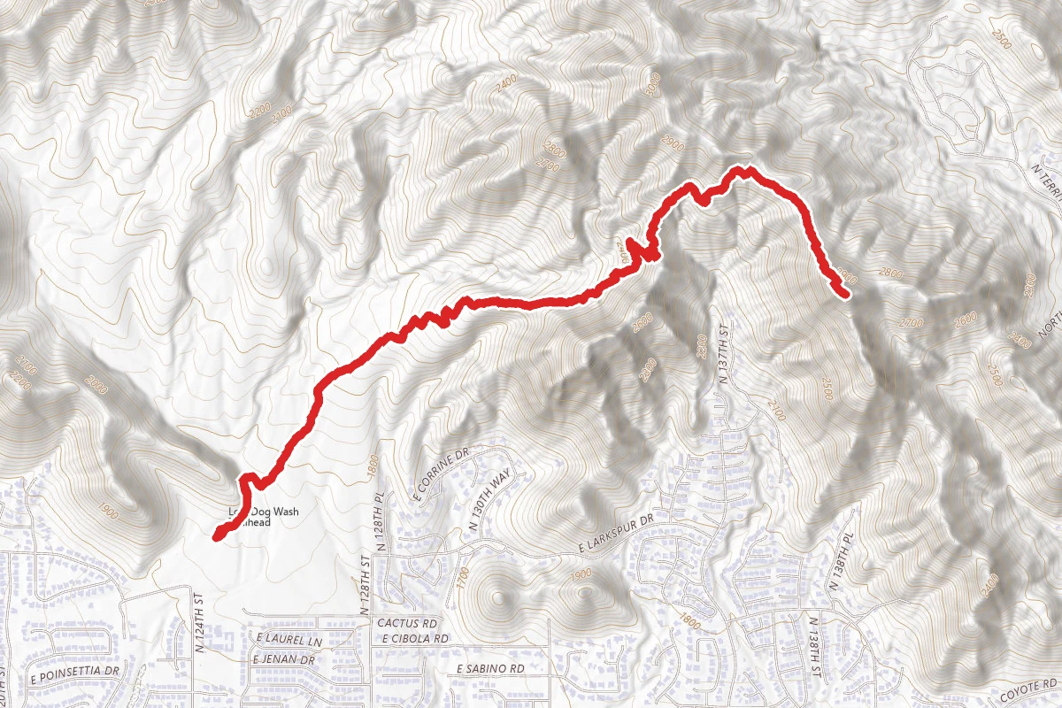 Lost Dog Wash Trail to Sunrise Peak via Sunrise Trail