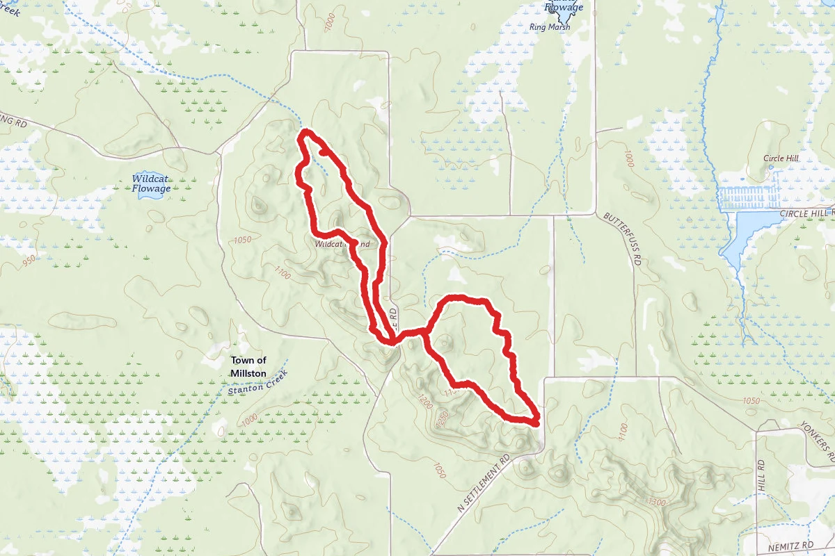 Black River State Forest Loop Trail