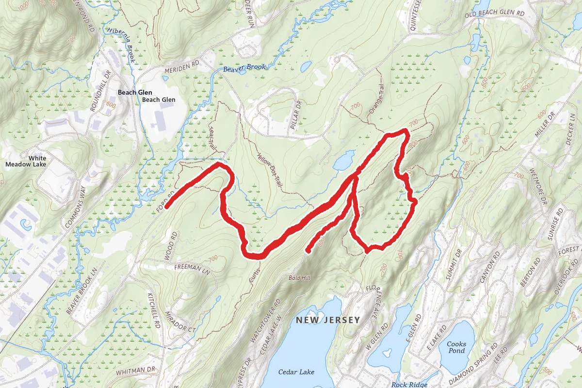 Bald Hill Loop via Ford Road Trail